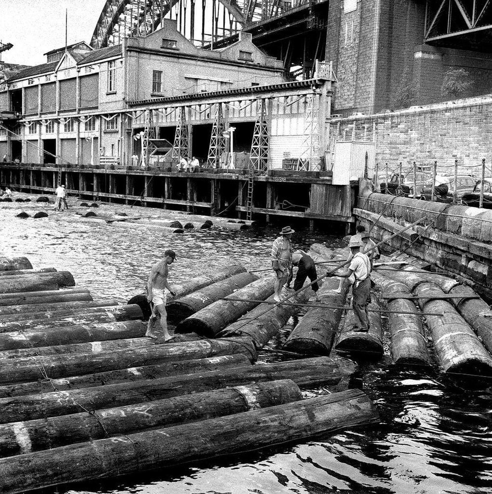 Log rollers on Sydney Harbour, 1959
